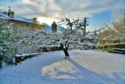 Giardino dopo una nevicata - Roseto del Drago di Casa Cassan- Roseto del Drago di Casa Cassan