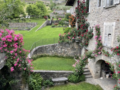 Vista giardino e roseto - Roseto del Drago di Casa Cassan